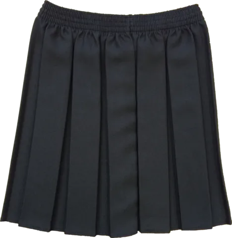 Black Box Pleated Skirt