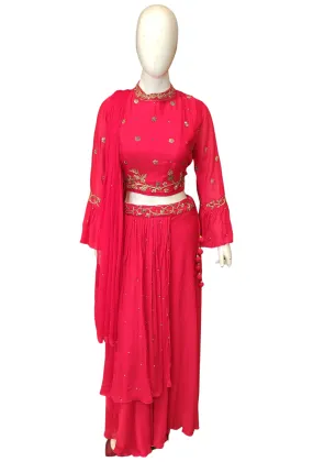 Chinon Blouse and Skirt with Dabka and Sippi Work